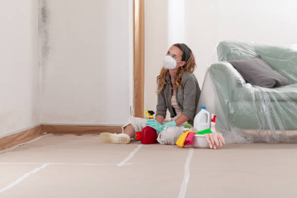 Reliable Mold Cleanup contractor in Oak Park, IL by WQB Mold Removal